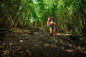 BIB: 
                            <button type="button" onclick="openModal(25099861)" class="btn btn-primary btn-sm float-right btn-popup" data-toggle="modal" data-target=".modal-high-quality">
                        <i class="fas fa-shopping-cart"></i> Add to Cart
                    </button>
                                            <button type="button" onclick="isThisMe(25099861, true)" class="btn btn-success btn-sm float-right btn-popup btn-isme hidden" data-toggle="tooltip" data-placement="bottom" title="นี่คือรูปของคุณใช่ไหม คลิกที่นี่เพื่อเอาเข้าอัลบั้ม">
                        <i class="fas fa-plus"></i> Add to album
                    </button>
                    <button type="button" onclick="isThisMe(25099861, false)" class="btn btn-warning btn-sm float-right btn-popup btn-isnotme hidden">
                        <i class="fas fa-ban"></i> Remove from album
                    </button>